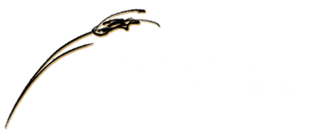 Brandesigns Web Solutions Logo